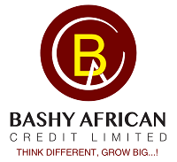 Bashy African Credit